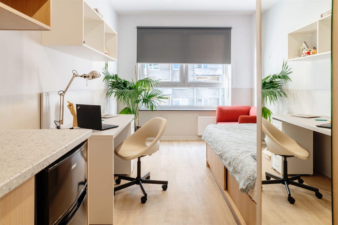 Projekt bez nazwy (16).jpg